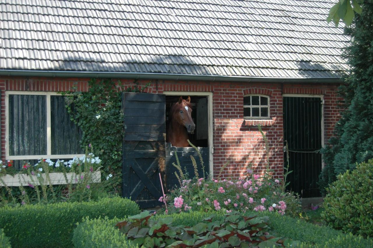 Erve Het Roolvink Boerderij Appartementen 40-50 M2 Enschede Exteriör bild
