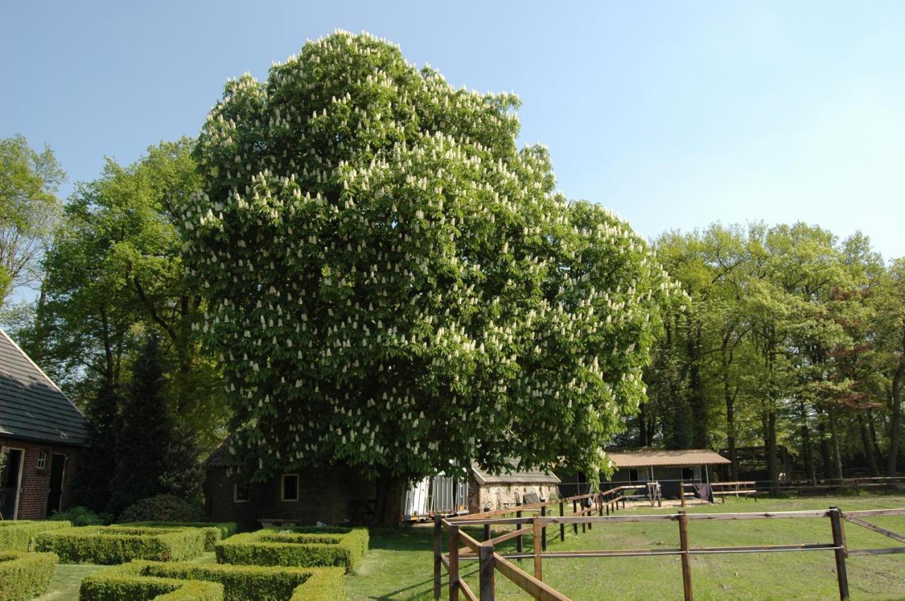 Erve Het Roolvink Boerderij Appartementen 40-50 M2 Enschede Exteriör bild