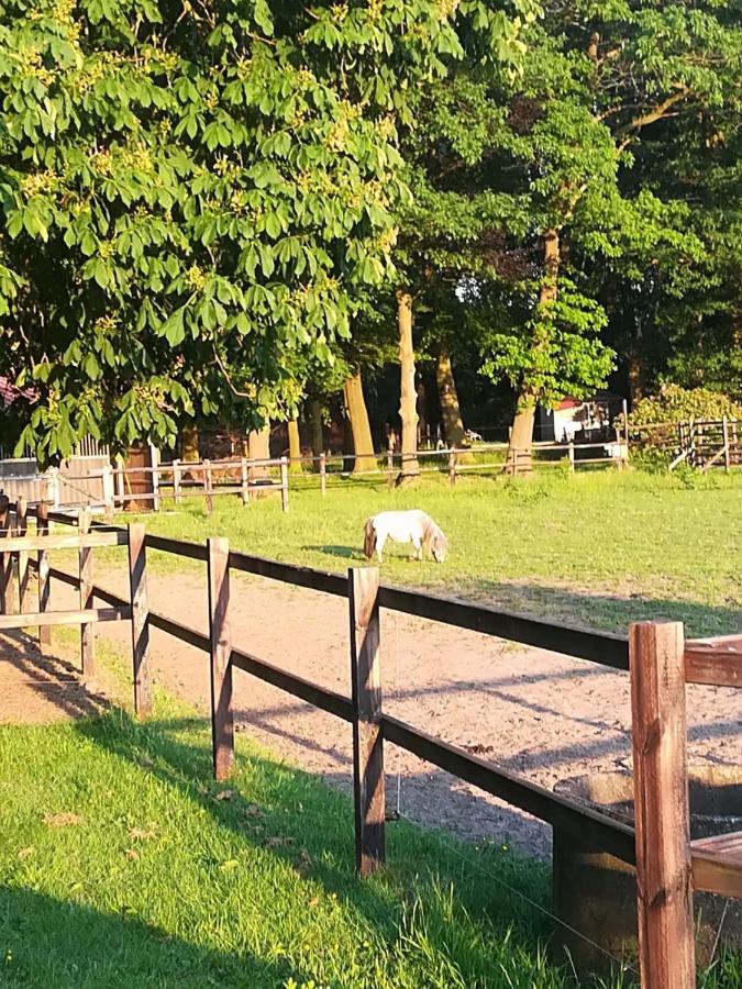 Erve Het Roolvink Boerderij Appartementen 40-50 M2 Enschede Exteriör bild