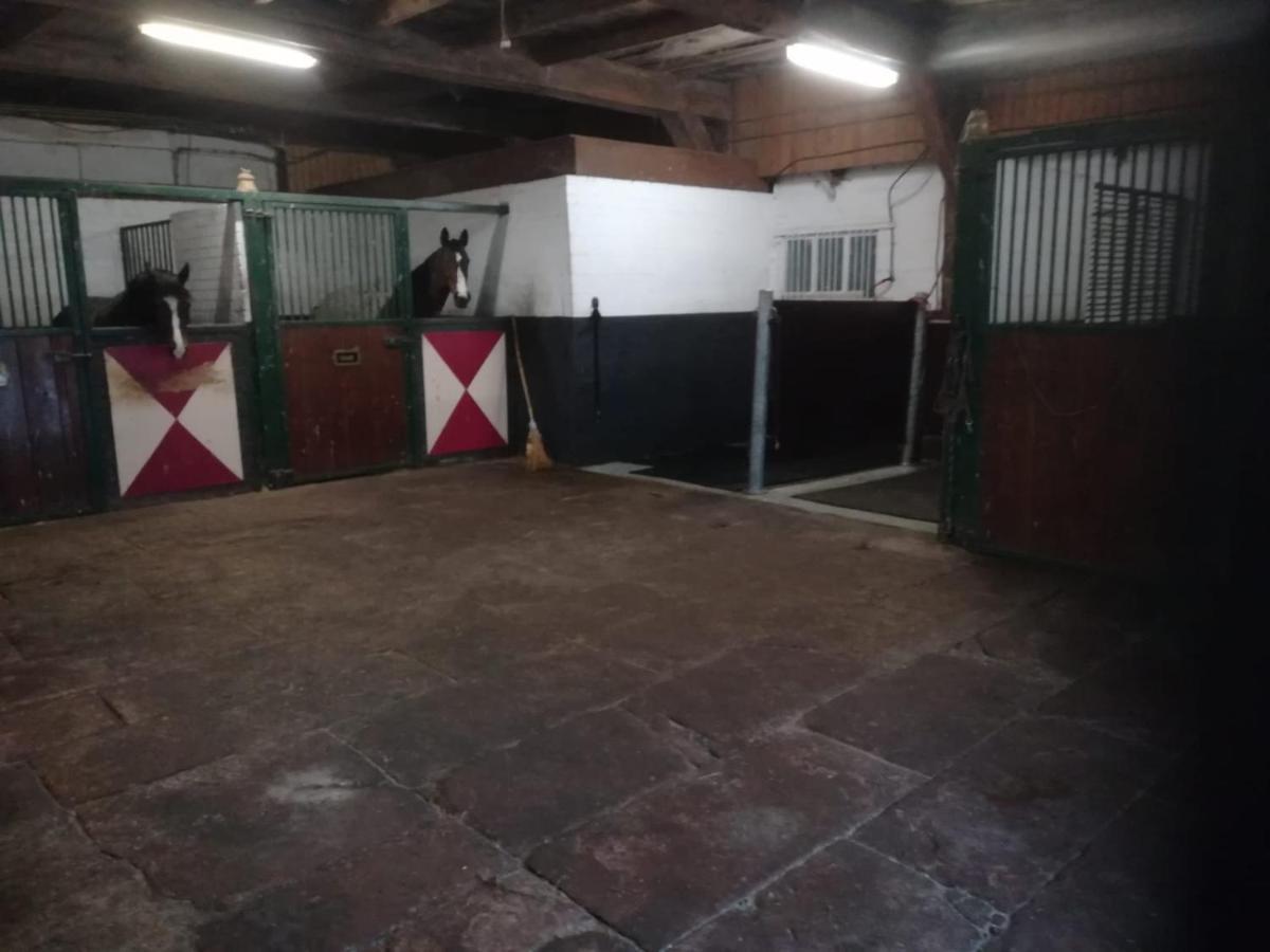 Erve Het Roolvink Boerderij Appartementen 40-50 M2 Enschede Exteriör bild