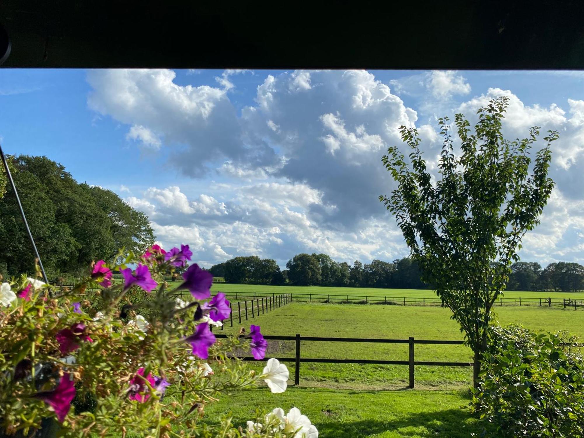 Erve Het Roolvink Boerderij Appartementen 40-50 M2 Enschede Exteriör bild